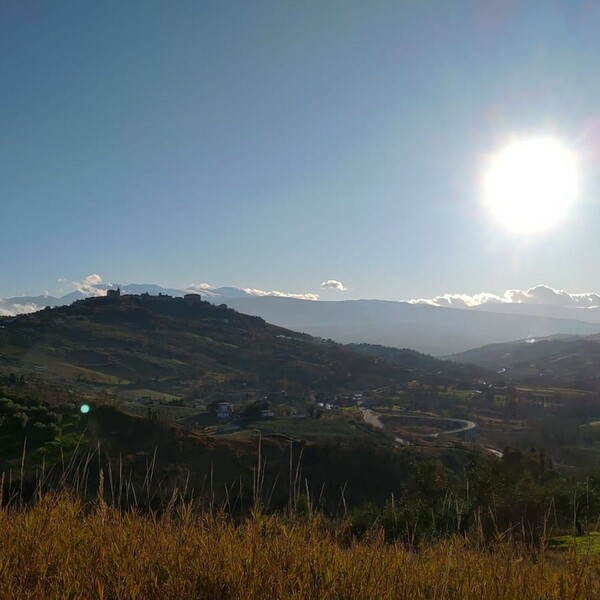IMG-20220630-WA0025