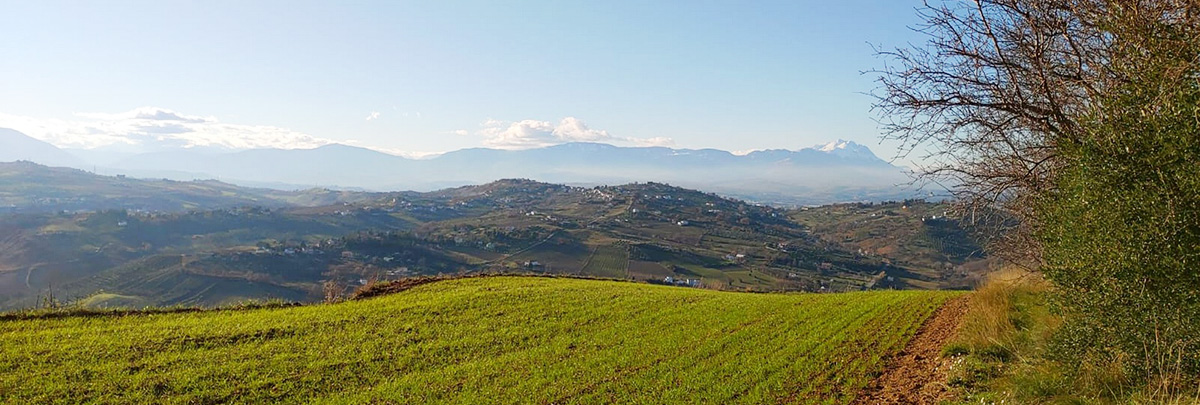 colle doro paesaggio